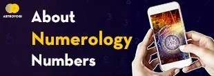 Numerology Numbers