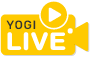 yogi live show