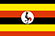 UG