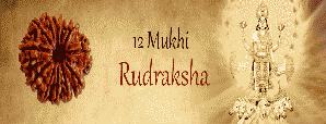 12 Mukhi Rudraksha: Remedy For All Your Troubles