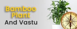 How Can the Bamboo Plant in Vastu Be Your Perfect Lucky Charm?