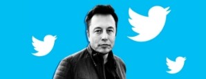 What Makes Twitter’s New Boss So Successful? The Stars “Musk” Have The Answers!