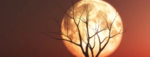 January 2025 Full Moon: Wolf Moon