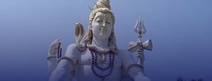 Are You Doing This on Maha Shivratri to Gain...