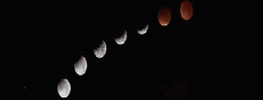 Lunar Eclipse - January’s Super Blood Wolf Moon