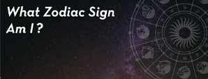 What Zodiac Sign Am I?