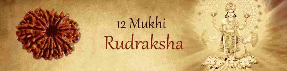 12 Mukhi Rudraksha: Remedy For All Your Troubles
