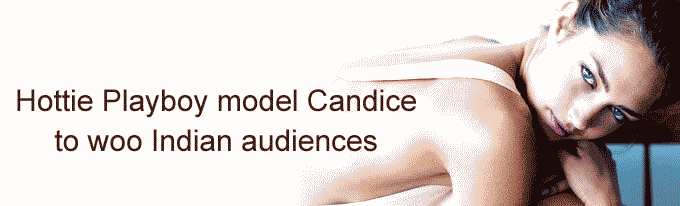 Hottie Playboy model Candice to woo Indian audiences 
