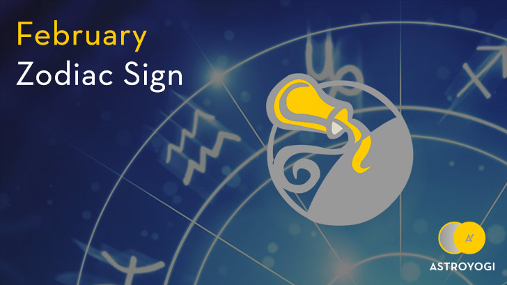 February Zodiac Sign - The Philanthropic Aquarius