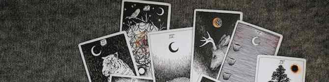 The Importance of Moon For a Tarot Reader