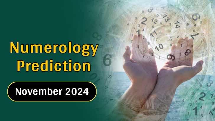 How Numerology Powers Your November Career & Relationship Success!