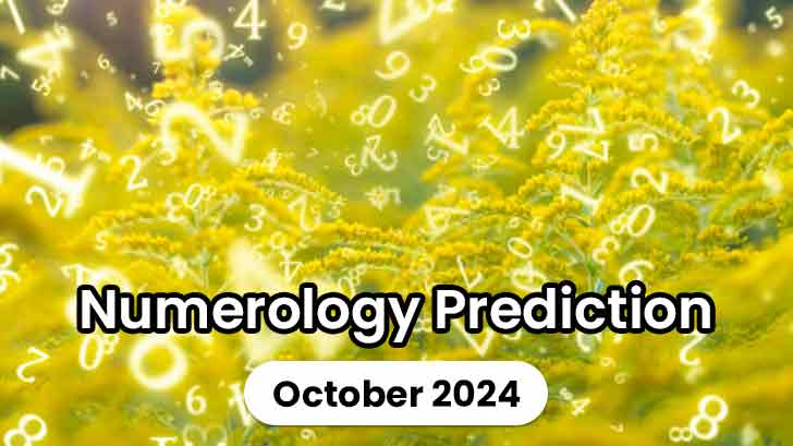 Why is October the Month to Wrap Up and Transform? A Numerology Forecast!