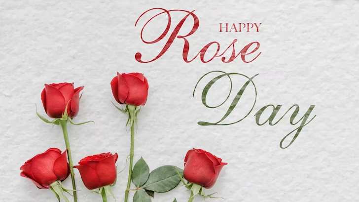 Rose Day 2024: Do You Know Why Roses Are Special For Valentine's?