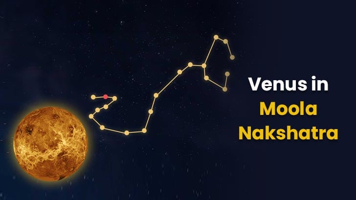 How Venus in Moola Nakshatra Affects Your Birth Chart