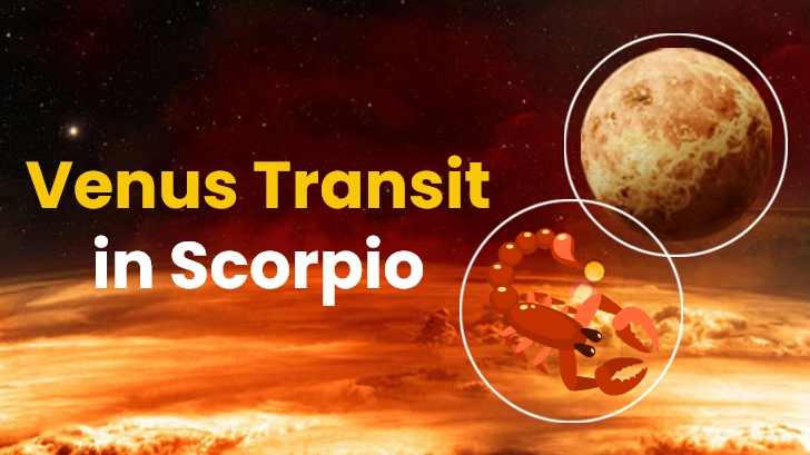 5 Zodiacs Will Flourish with The Venus Transit in Scorpio