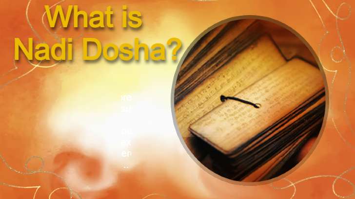 What is Nadi Dosha?  Its Impact on Marriage Compatibility