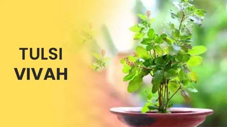 Tulsi