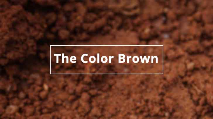 The Color Brown