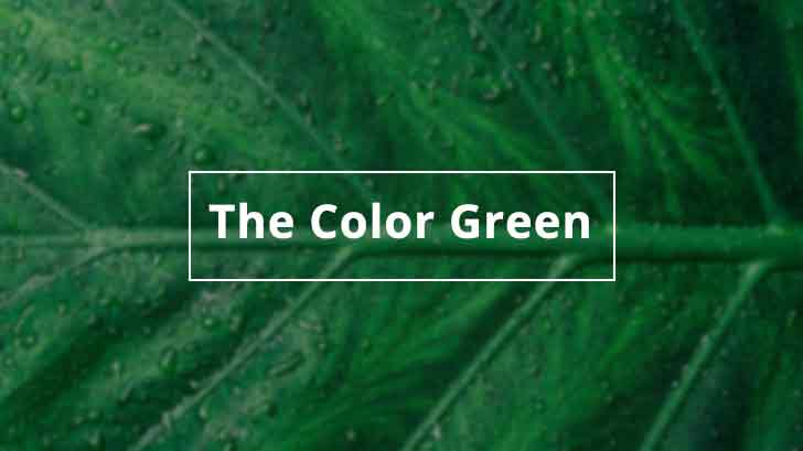 The Color Green