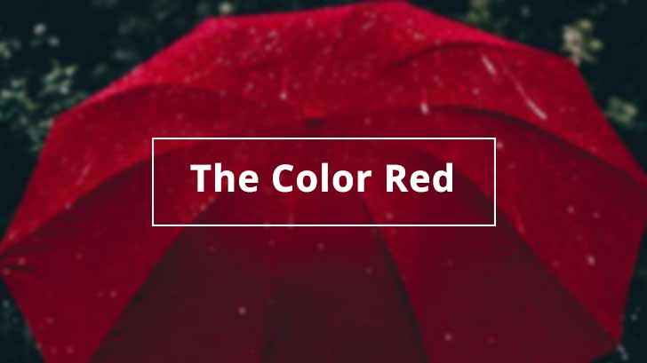 Why Red is Considered The Colour of Love - News18