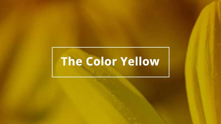 The Color Yellow