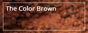 The Color Brown