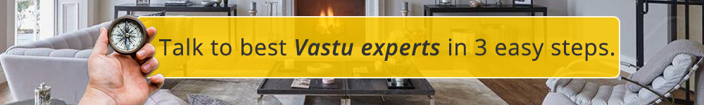 Vaastu Astrologers