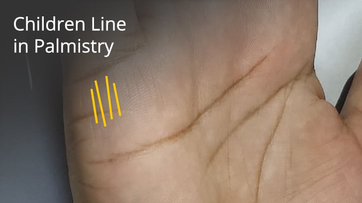 Palm Reading for Beginners: How to Read Palm Lines, line