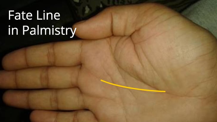 Life Line And Fate Line Cross Fate Line Palmistry - Fate Line in Hand, Meaning in Palm Reading