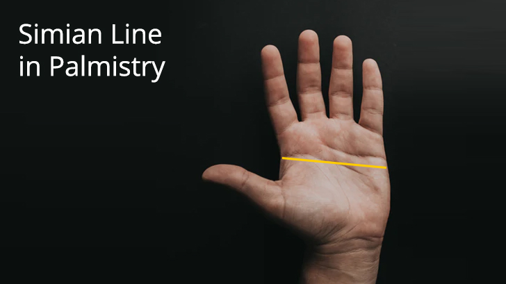 Simian Line in Palmistry - Astroyogi