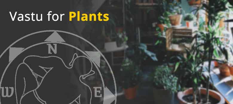 Vastu for Plants