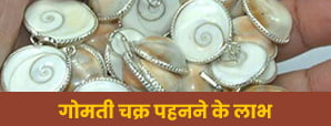 Gomati chakra upay: जानें गोमती चक्र के फायदे! चमका देगा आपका भाग्य।