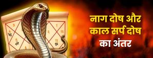 नाग दोष और काल सर्प दोष में अंतर | जानें...