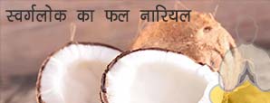 हिंदू धर्म में बिना नारियल के अधूरी है हर पूजा