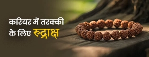करियर और कारोबार में तरक्की के लिए कितने मुखी...