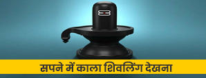 Shivling in Dream: कैसा होता है सपने में काला...