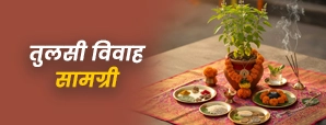 Tulsi Vivah Ki Samagri: तुलसी विवाह की संपूर्ण पूजन सामग्री और उसका महत्व
