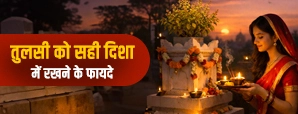 Tulsi Vastu Tips: घर में तुलसी रखने की सही जगह और इसके चमत्कारी फायदे