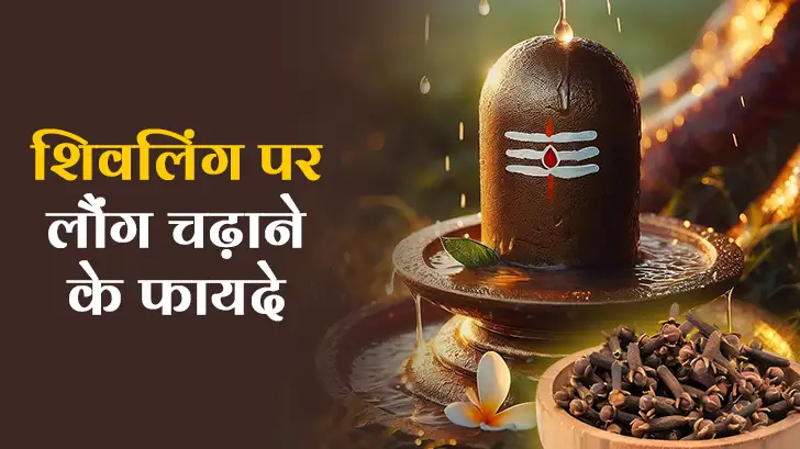 शिवलिंग पर चढ़ाएं ये एक काली चीज़: करियर की रुकावटें होंगी दूर