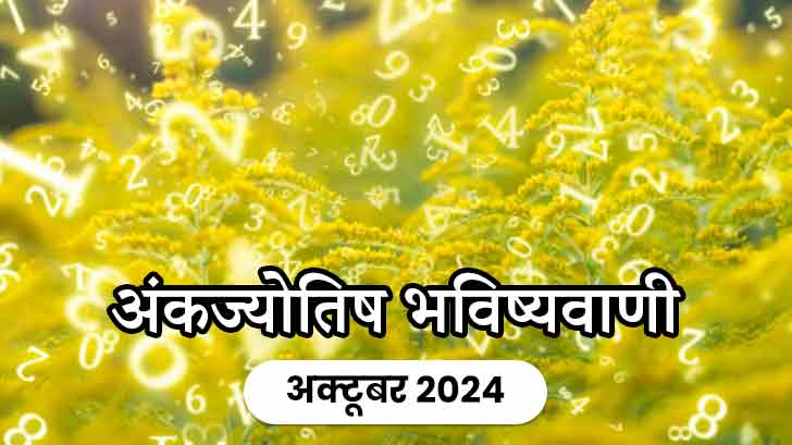 अक्टूबर 2024 में आपके मूलांक के लिए क्या लाया है अंक ज्योतिष मासिक राशिफल?