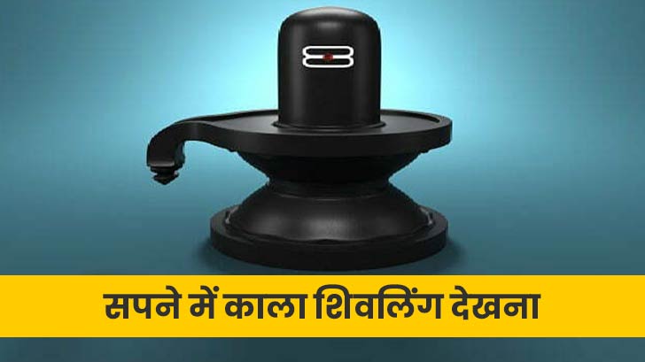 Shivling in Dream: कैसा होता है सपने में काला शिवलिंग देखना