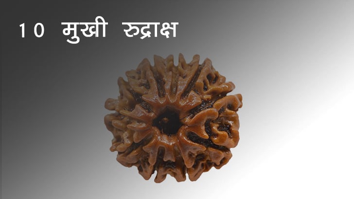 10 मुखी रुद्राक्ष