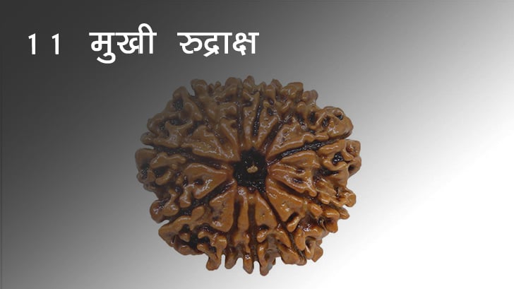 11 मुखी रुद्राक्ष