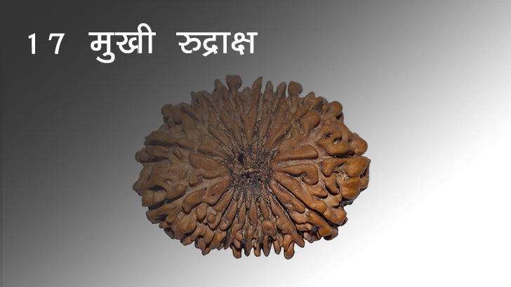 17 मुखी रुद्राक्ष