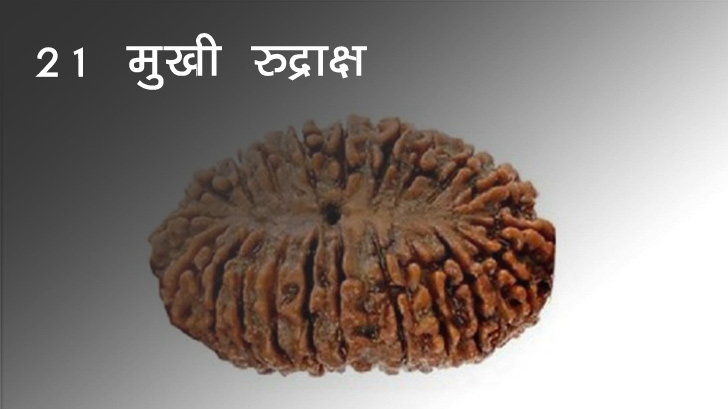 21 मुखी रुद्राक्ष