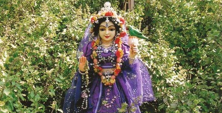 श्री तुलसी जी की आरती