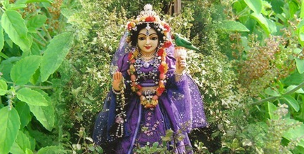 श्री तुलसी चालीसा