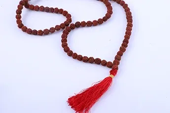 Certifed 5 mukhi rudraksha mala 108 Beads