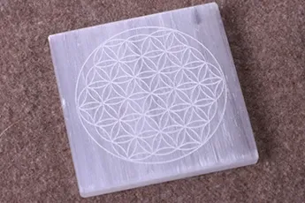 Online Flower of Life Plate Online Flower of Life Plate