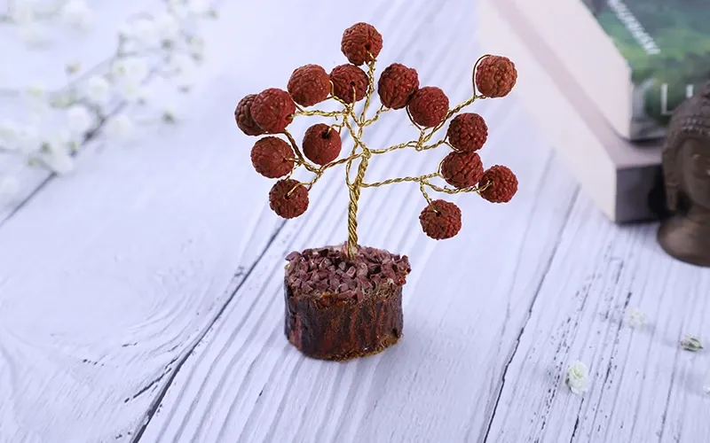 Rudraksha Mini Tree